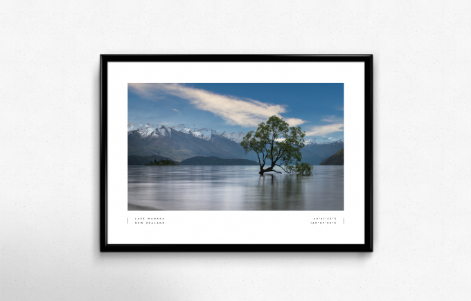 Wanaka Tree Print Poster Wall Art