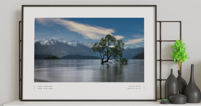 Wanaka Tree Print Poster Wall Art