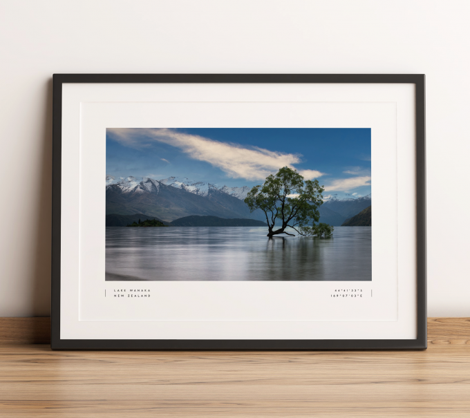 Wanaka Tree Print Poster Wall Art