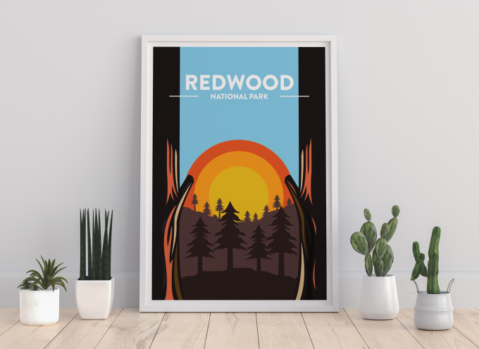 Redwood - National Park Print Poster Wall Art